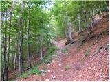 Planina Zajzera - Bivak Stuparich